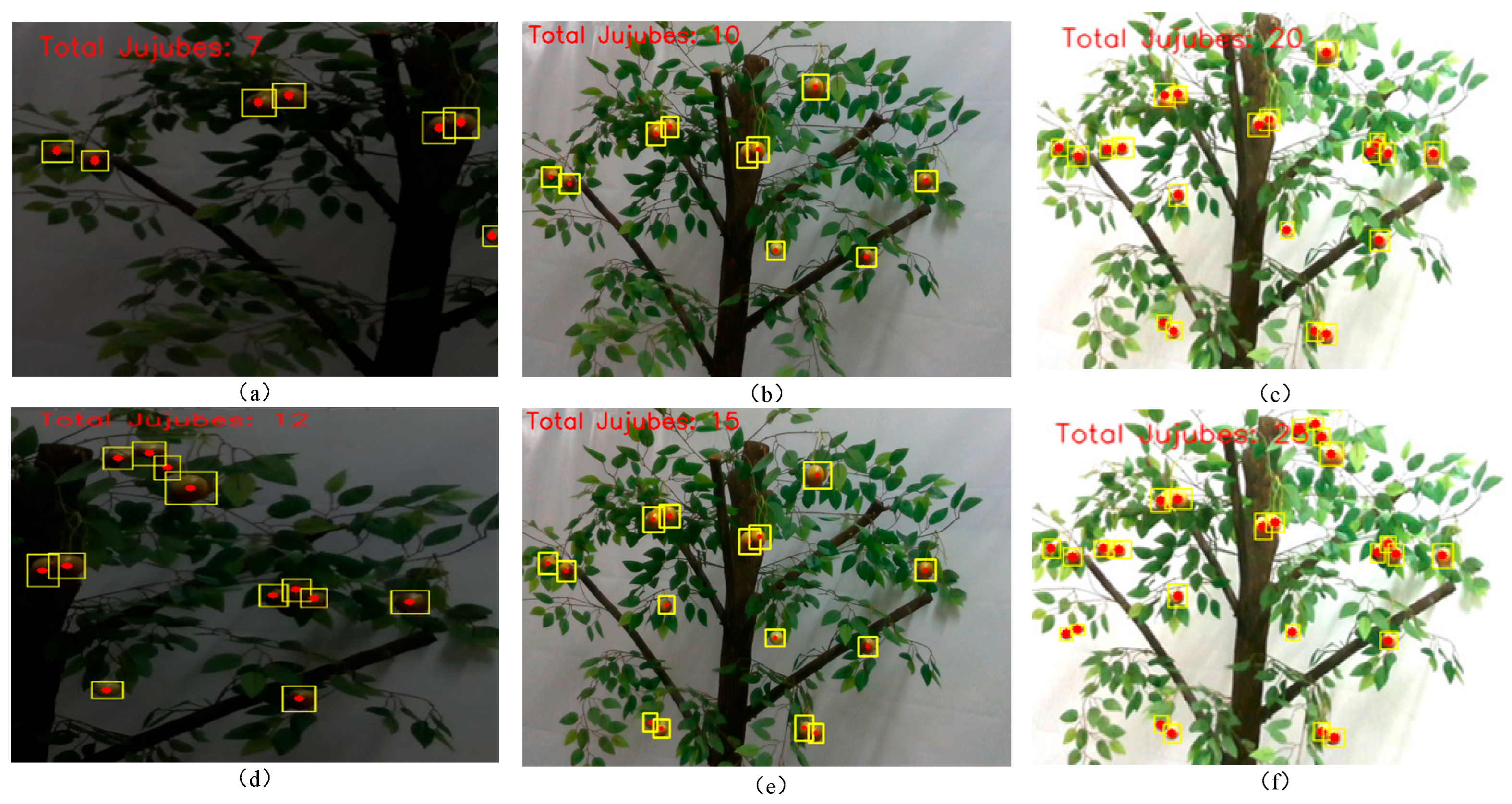 Agriculture 15 02092 g014