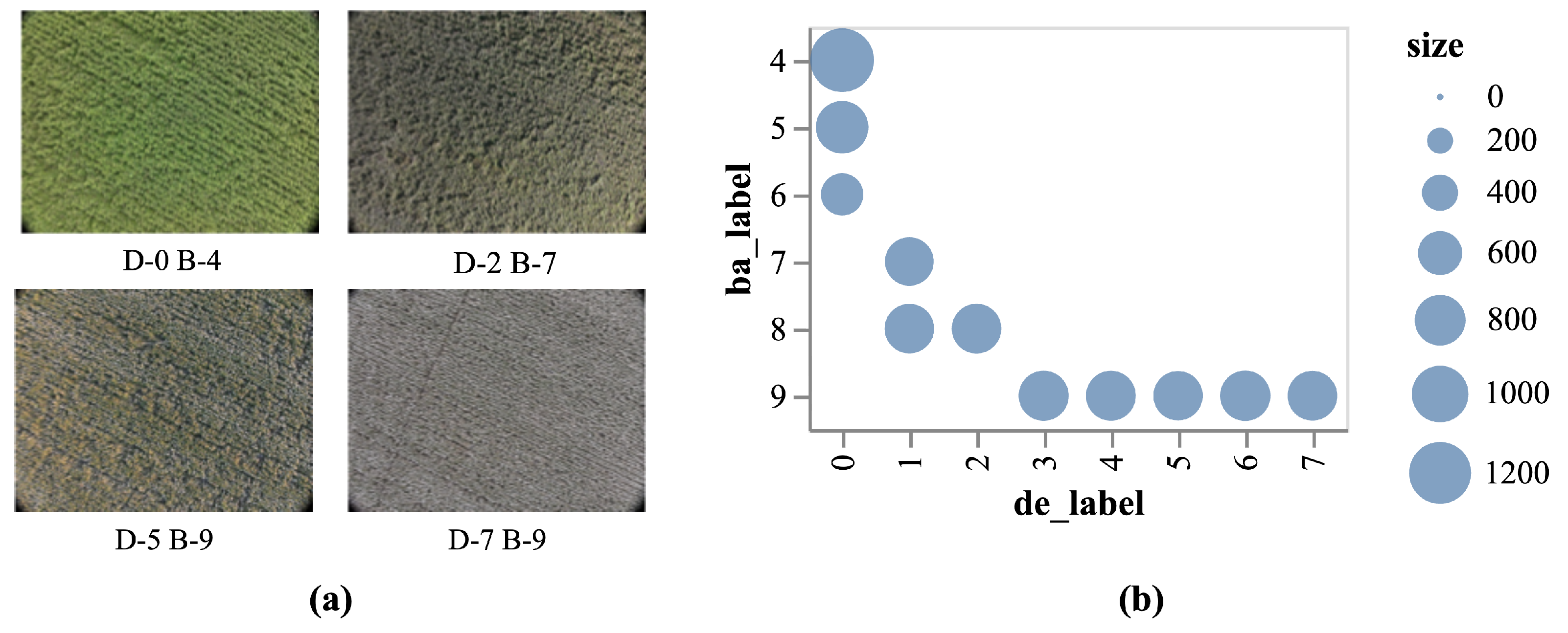 Agriculture 15 02095 g004