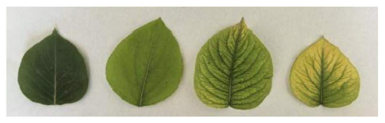 Agriculture 15 02101 g001 Agriculture 15 02101 g001