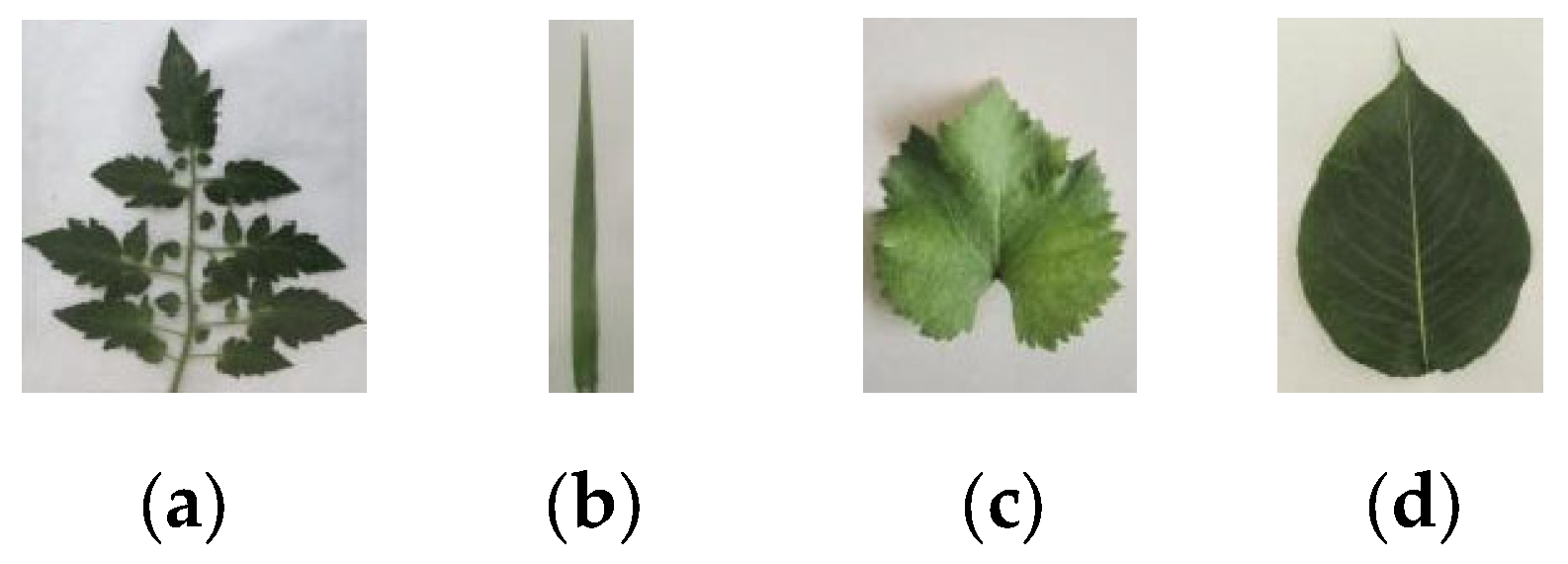 Agriculture 15 02101 g002 Agriculture 15 02101 g002