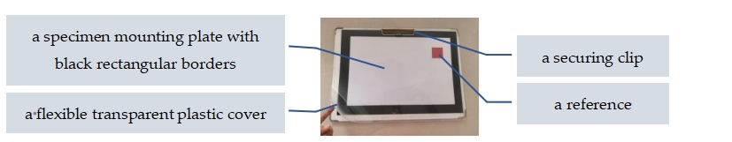 Agriculture 15 02101 g004 Agriculture 15 02101 g004