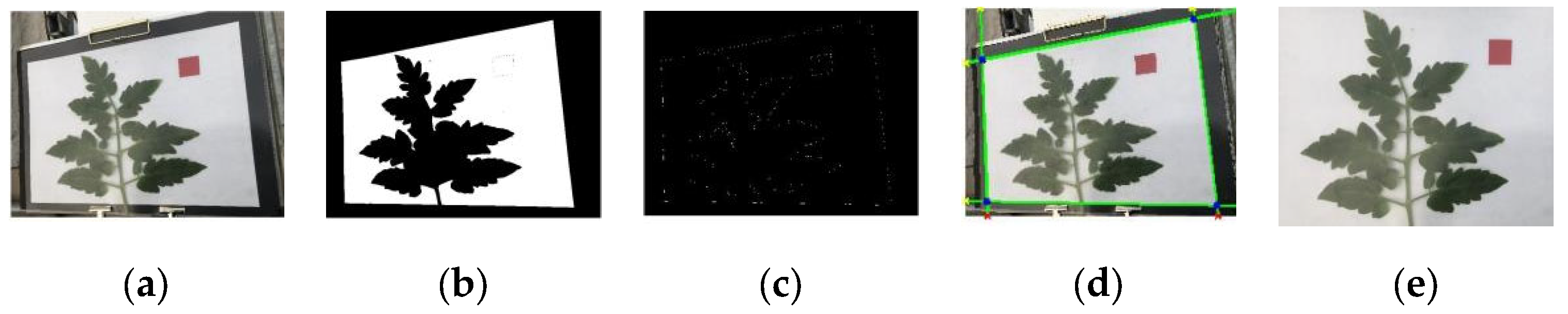 Agriculture 15 02101 g005 Agriculture 15 02101 g005