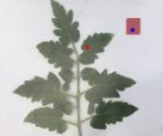 Agriculture 15 02101 i247 Agriculture 15 02101 i247