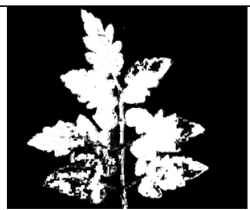 Agriculture 15 02101 i248 Agriculture 15 02101 i248