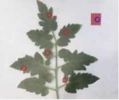 Agriculture 15 02101 i249 Agriculture 15 02101 i249