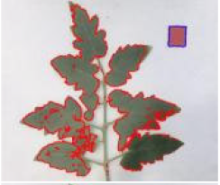 Agriculture 15 02101 i250 Agriculture 15 02101 i250