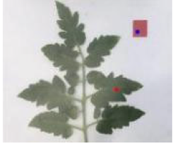 Agriculture 15 02101 i252 Agriculture 15 02101 i252