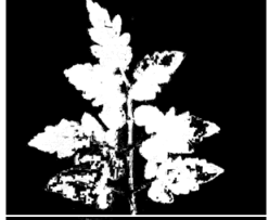 Agriculture 15 02101 i253 Agriculture 15 02101 i253