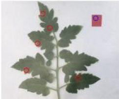 Agriculture 15 02101 i254 Agriculture 15 02101 i254