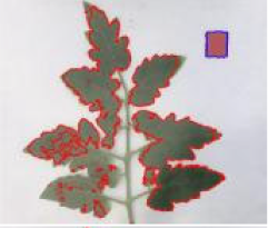 Agriculture 15 02101 i255 Agriculture 15 02101 i255