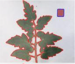 Agriculture 15 02101 i256 Agriculture 15 02101 i256