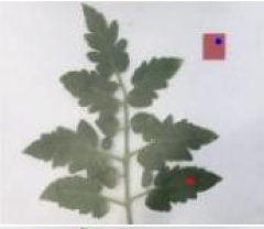 Agriculture 15 02101 i257 Agriculture 15 02101 i257