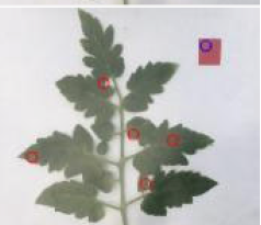 Agriculture 15 02101 i259 Agriculture 15 02101 i259