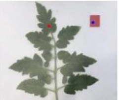 Agriculture 15 02101 i262 Agriculture 15 02101 i262