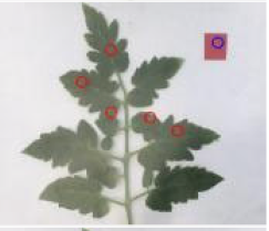 Agriculture 15 02101 i264 Agriculture 15 02101 i264