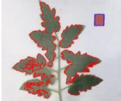 Agriculture 15 02101 i265 Agriculture 15 02101 i265