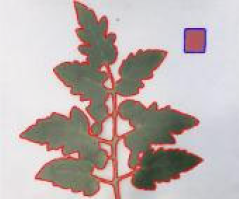 Agriculture 15 02101 i266 Agriculture 15 02101 i266