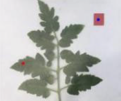 Agriculture 15 02101 i267 Agriculture 15 02101 i267