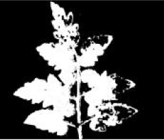 Agriculture 15 02101 i268 Agriculture 15 02101 i268