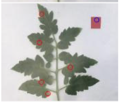 Agriculture 15 02101 i269 Agriculture 15 02101 i269