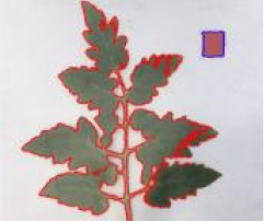 Agriculture 15 02101 i270 Agriculture 15 02101 i270