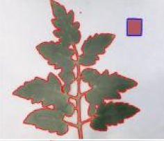 Agriculture 15 02101 i271 Agriculture 15 02101 i271