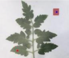 Agriculture 15 02101 i272 Agriculture 15 02101 i272