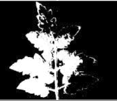 Agriculture 15 02101 i273 Agriculture 15 02101 i273