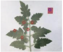 Agriculture 15 02101 i274 Agriculture 15 02101 i274