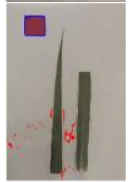 Agriculture 15 02101 i285 Agriculture 15 02101 i285