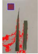 Agriculture 15 02101 i293 Agriculture 15 02101 i293