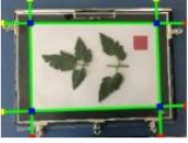 Agriculture 15 02101 i341 Agriculture 15 02101 i341