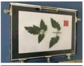 Agriculture 15 02101 i343 Agriculture 15 02101 i343