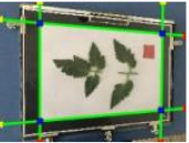 Agriculture 15 02101 i344 Agriculture 15 02101 i344