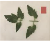 Agriculture 15 02101 i345 Agriculture 15 02101 i345