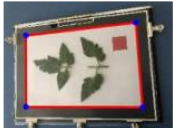 Agriculture 15 02101 i347 Agriculture 15 02101 i347