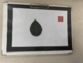 Agriculture 15 02101 i349 Agriculture 15 02101 i349