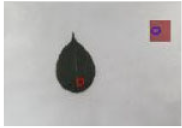 Agriculture 15 02101 i352 Agriculture 15 02101 i352