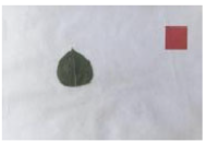 Agriculture 15 02101 i357 Agriculture 15 02101 i357