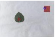 Agriculture 15 02101 i358 Agriculture 15 02101 i358