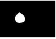 Agriculture 15 02101 i360 Agriculture 15 02101 i360