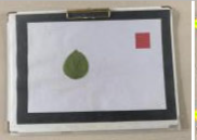 Agriculture 15 02101 i361 Agriculture 15 02101 i361