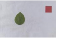 Agriculture 15 02101 i363 Agriculture 15 02101 i363