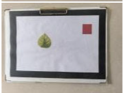 Agriculture 15 02101 i367 Agriculture 15 02101 i367