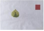 Agriculture 15 02101 i369 Agriculture 15 02101 i369