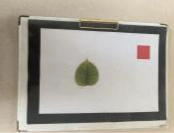 Agriculture 15 02101 i373 Agriculture 15 02101 i373