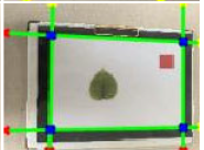 Agriculture 15 02101 i374 Agriculture 15 02101 i374