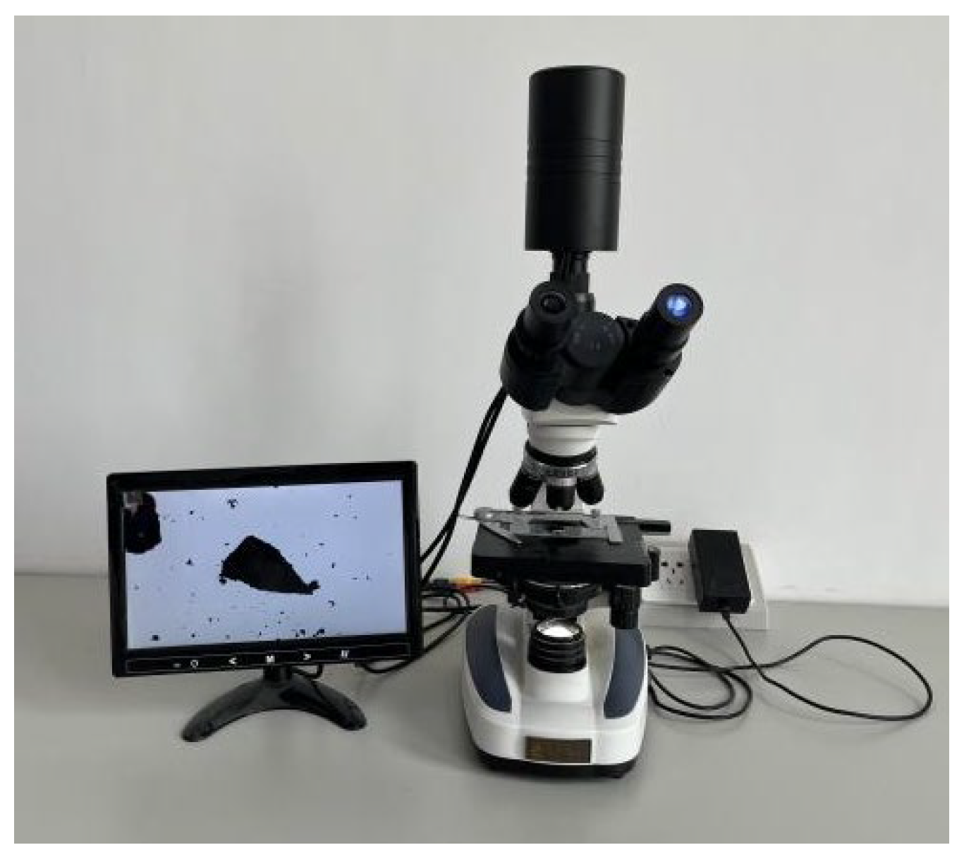 Agriculture 15 02103 g011