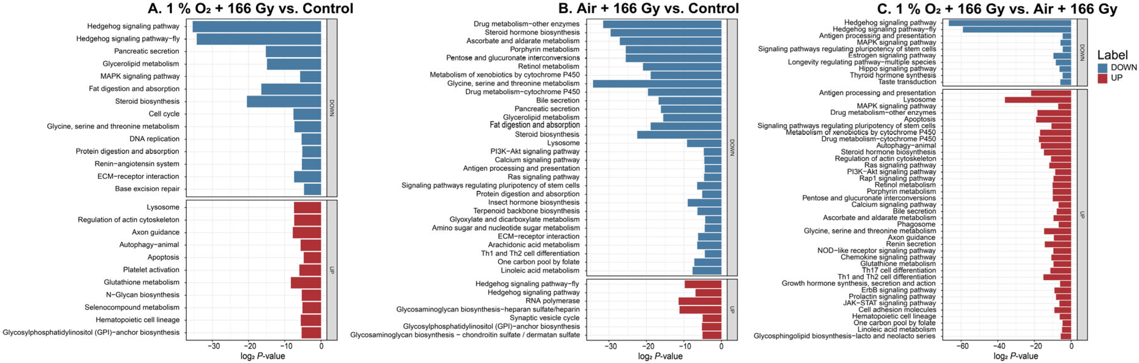 Agriculture 15 02104 g004 Agriculture 15 02104 g004