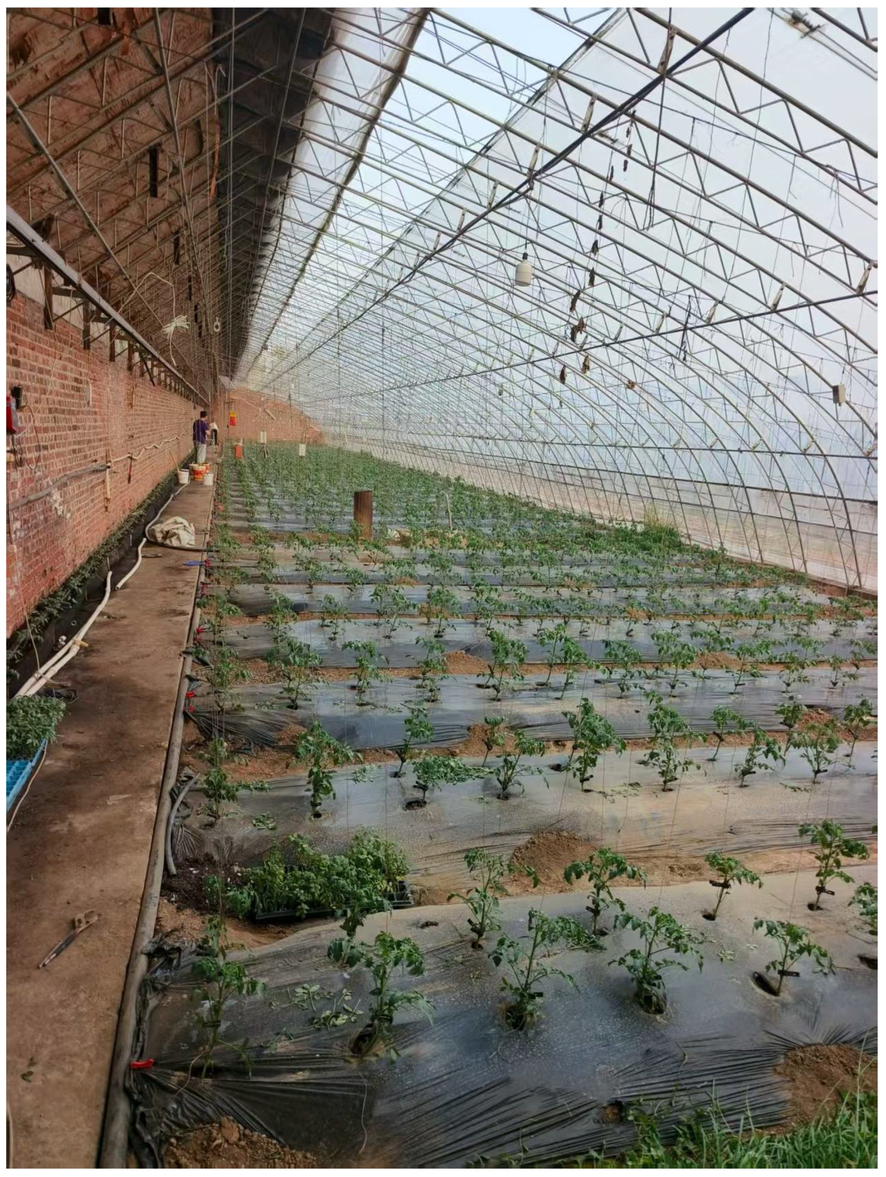 Agriculture 15 02107 g003